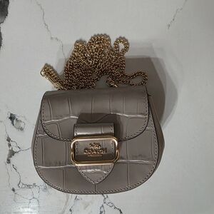 Coach Taupe Croc-Embossed Mini Bag with Gold Chain